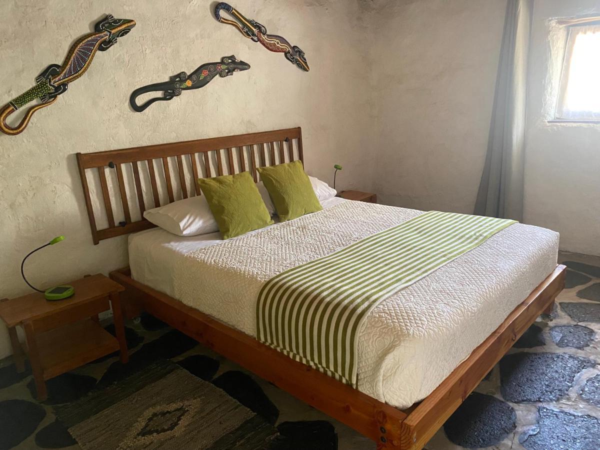 La HuaicaEl Huarango Eco Retreat别墅 外观 照片