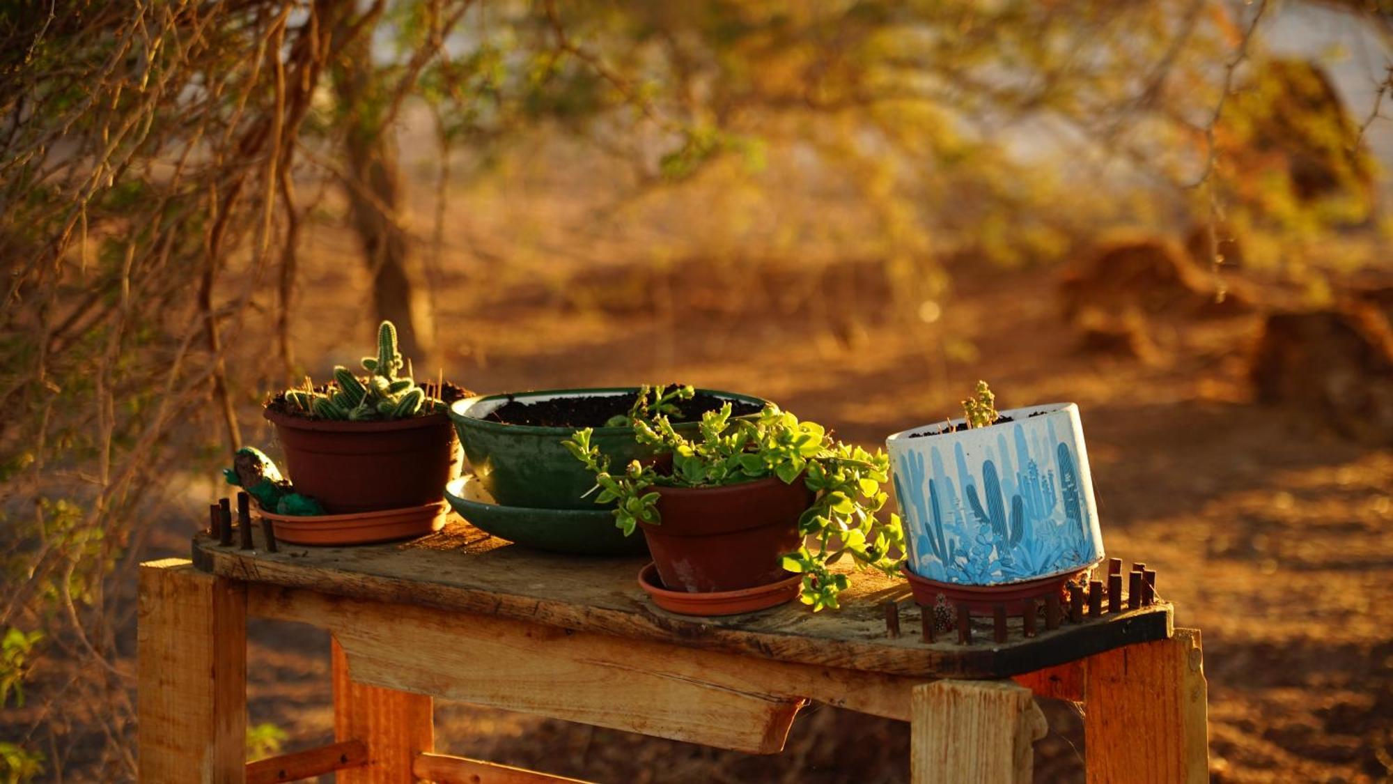 La HuaicaEl Huarango Eco Retreat别墅 外观 照片